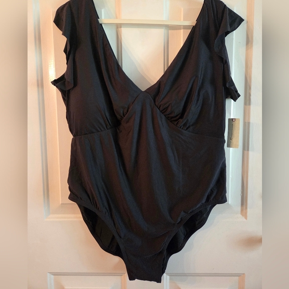 NWT Anthropologie V-Neck One-Piece Ruffle Sleeve Swimsuit 2X - Picture 2 of 7